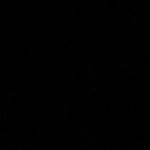 Meet your Posher, Alanis